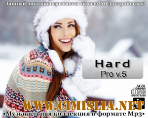 Hard Pro v.5 [2013 / MP3 / 320 kb]
