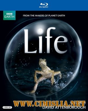 BBC: Жизнь / BBC: Life [2009 / BDRip]