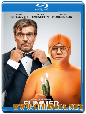 Мерцание / Flimmer [2012 / HDRip]