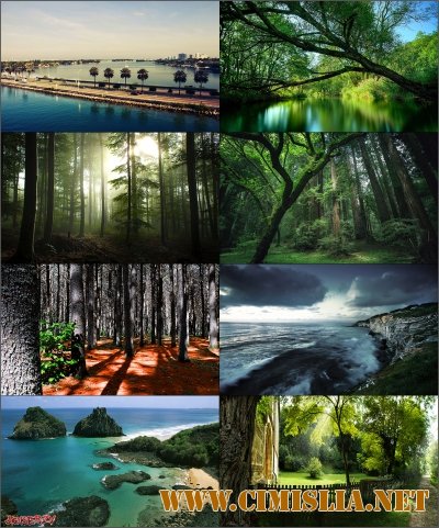 Обои для рабочего стола - Разное [2013]