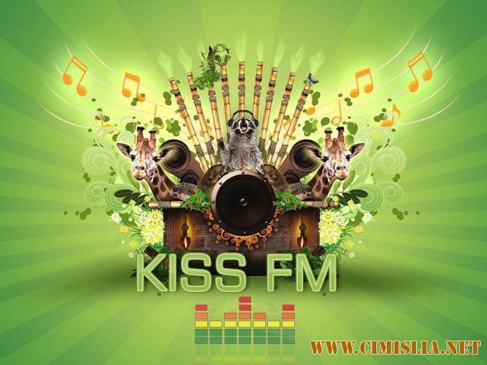 Kiss FM RO - Top 40 [Martie] [2013 / MP3 / 128 kb]