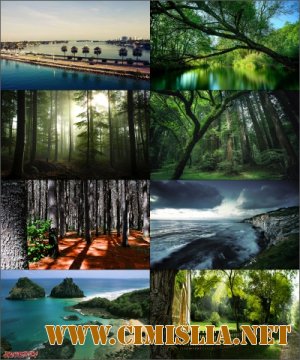 Обои для рабочего стола - Разное [2013]