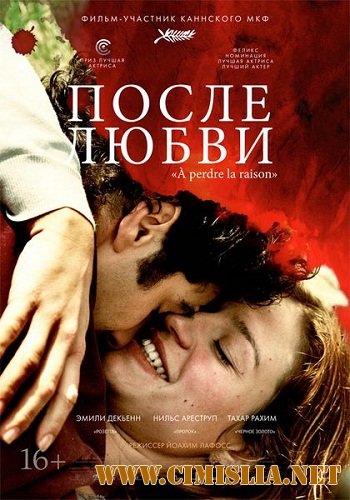 После любви / A perdre la raison [2012 / DVDRip | Лицензия]