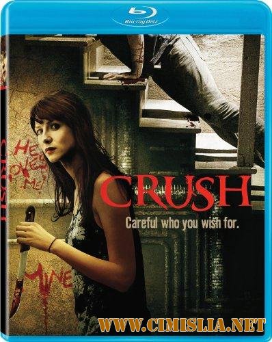 Страсть / Crush [2013 / DVDRip]