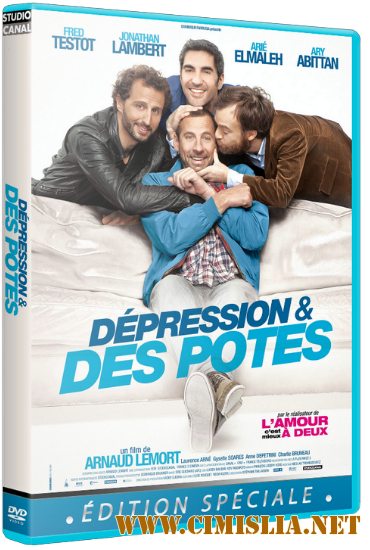Депрессия И Друзья / D&#233;pression et des potes [2012 / HDRip]