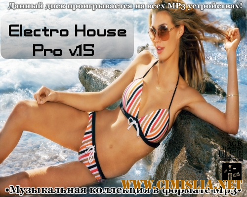 Electro House Pro V.15 [2013 / MP3 / 320 kb]