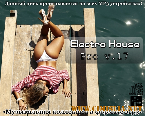 Electro House Pro V.17 [2013 / MP3 / 320 kb]