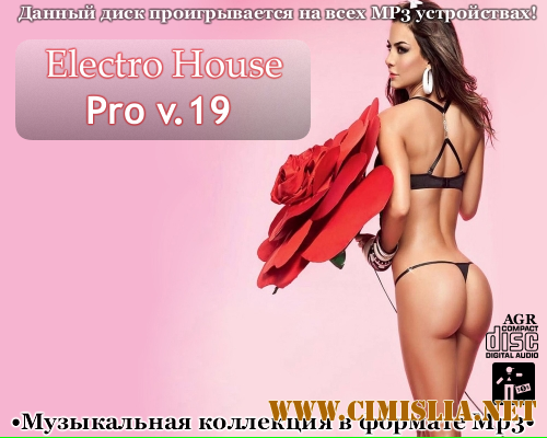Electro House Pro V.19 [2013 / MP3 / 320 kb]