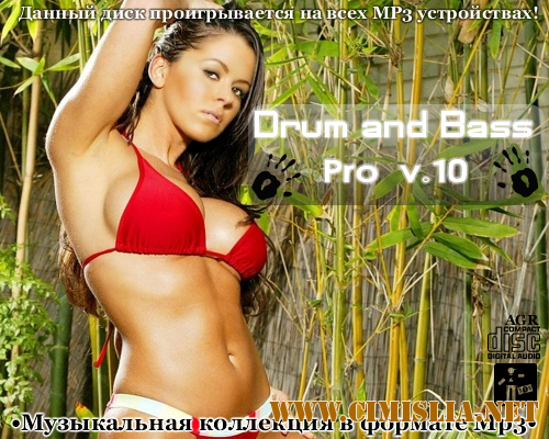 Drum and Bass Pro V.10 [2013 / MP3 / 320 kb]