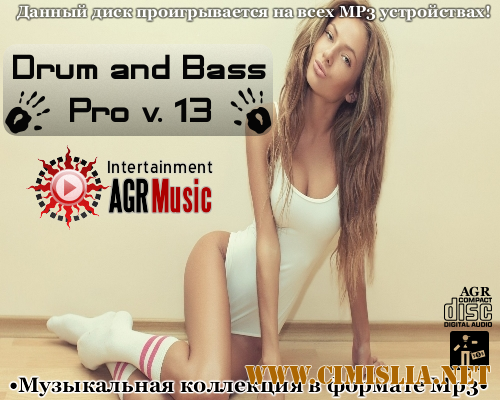 Drum and Bass Pro V.13 [2013 / MP3 / 320 kb]
