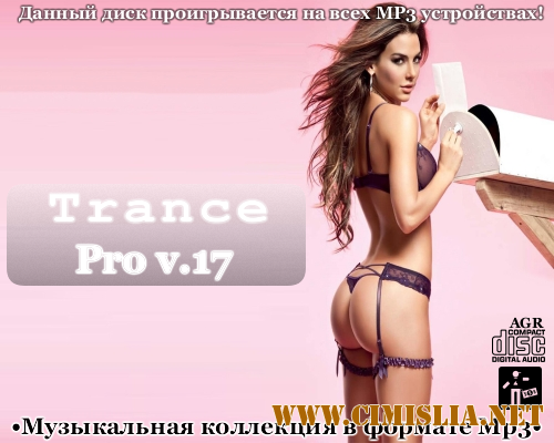 Trance Pro V.17 [2013 / MP3 / 320 kb]