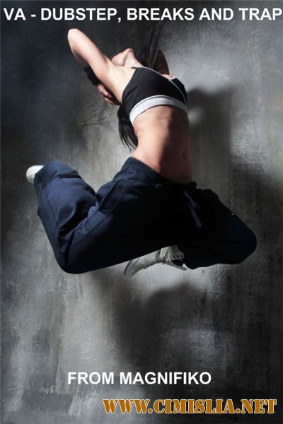 Dubstep, Breaks and Trap [2013 / MP3 / 320 kb]