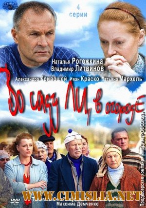 Во саду ли, в огороде [01-04 из 04] [2012 / HDTVRip]