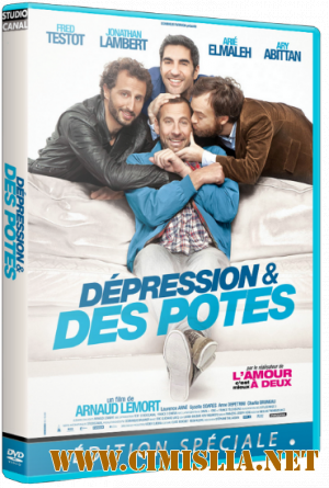 Депрессия И Друзья / D&#233;pression et des potes [2012 / HDRip]