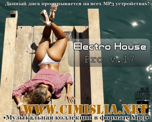 Electro House Pro V.17 [2013 / MP3 / 320 kb]