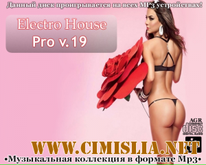 Electro House Pro V.19 [2013 / MP3 / 320 kb]