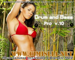 Drum and Bass Pro V.10 [2013 / MP3 / 320 kb]