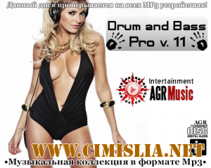Drum and Bass Pro V.11 [2013 / MP3 / 320 kb]