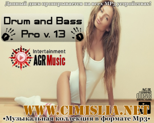 Drum and Bass Pro V.13 [2013 / MP3 / 320 kb]