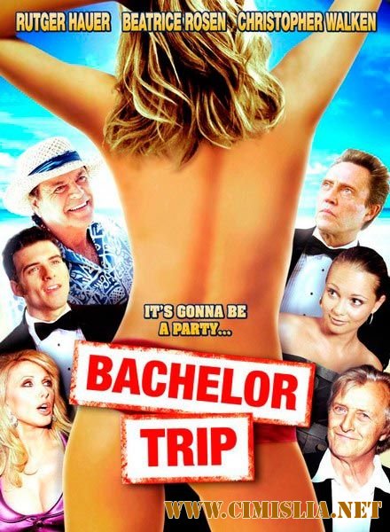 Медовый месяц / Life's a Beach [2010 / DVDRip]