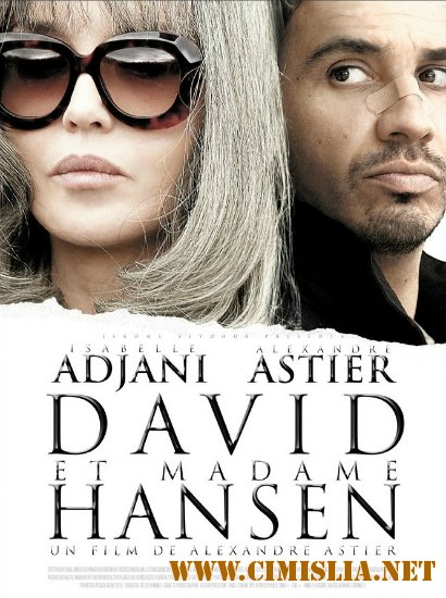 Давид и мадам Ансен / David et Madame Hansen [2012 / HDRip]
