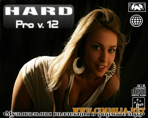 Hard Pro v.12 [2013 / MP3 / 320 kb]