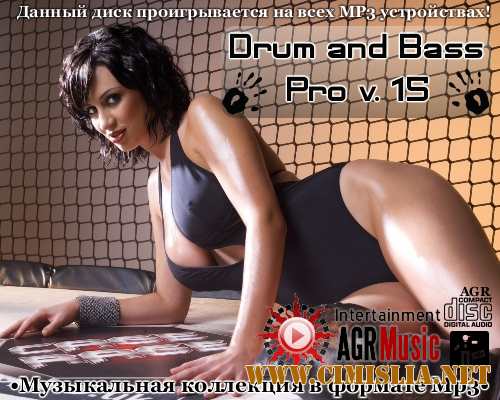 Drum and Bass Pro V.15 [2013 / MP3 / 320 kb]