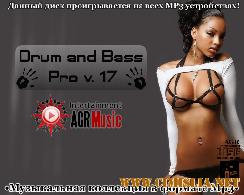 Drum and Bass Pro V.17 [2013 / MP3 / 320 kb]