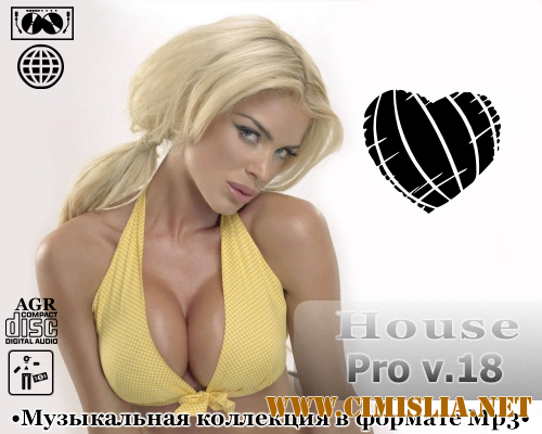 House Pro V.18 [2013 / MP3 / 320 kb]