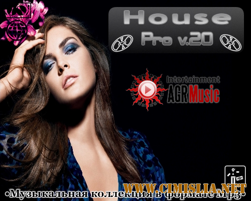 House Pro V.20 [2013 / MP3 / 320 kb]