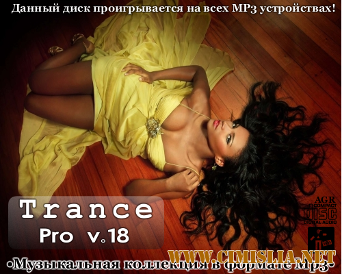 Trance Pro V.18 [2013 / MP3 / 320 kb]