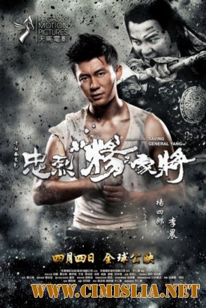 Спасти генерала Яна / Saving General Yang [2013 / HDRip]