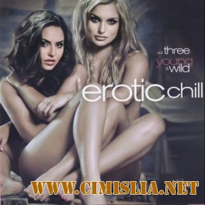 Erotic Chill Vol.3: Young And Wild [2013 / MP3 / 128 kb]