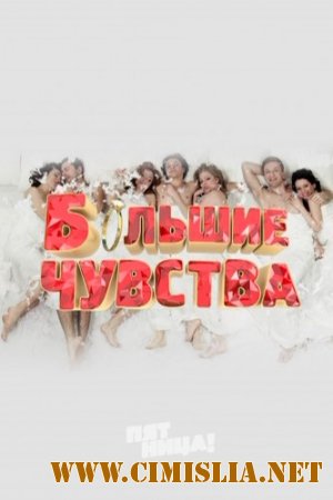 Большие чувства [01-24] [2013 / SATRip]