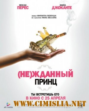 (Не)жданный принц / Un prince (presque) charmant [2013 / DVDRip | Лицензия]
