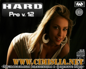 Hard Pro v.12 [2013 / MP3 / 320 kb]