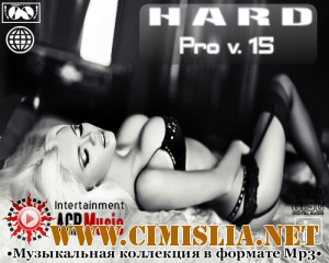 Hard Pro v.15 [2013 / MP3 / 320 kb]