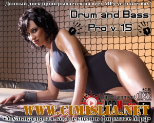 Drum and Bass Pro V.15 [2013 / MP3 / 320 kb]