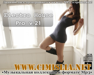 Electro House Pro V.21 [2013 / MP3 / 320 kb]