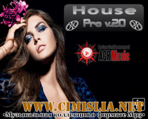 House Pro V.20 [2013 / MP3 / 320 kb]