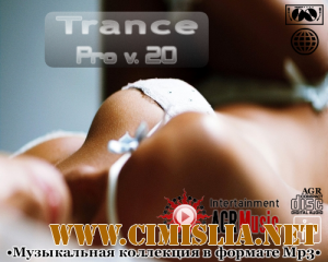 Trance Pro V.20 [2013 / MP3 / 320 kb]