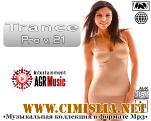 Trance Pro V.21 [2013 / MP3 / 320 kb]