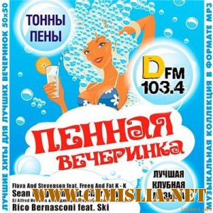 Пенная Вечеринка DFM 50/50 [2013 / MP3 / 256 kb]