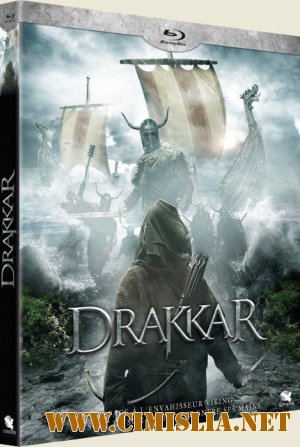 Сага о викингах: Tёмные времена / A Viking Saga: The Darkest Day [2013 / HDRip]