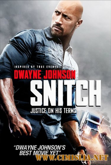 Стукач / Snitch [2013 / BDRip]