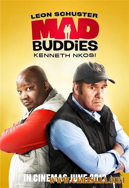 Безумцы / Mad Buddies [2012 / DVDRip]
