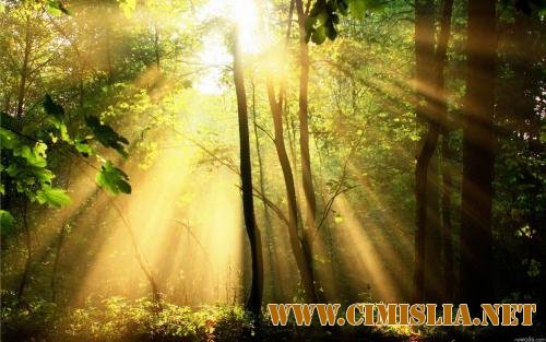 Обои для рабочего стола - Лучи Солнца [2012]