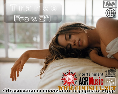 Trance Pro V.24 [2013 / MP3 / 320 kb]
