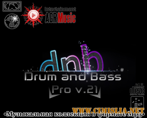 Drum and Bass Pro V.21 [2013 / MP3 / 320 kb]