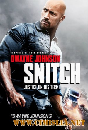 Стукач / Snitch [2013 / BDRip]